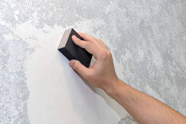 Best Asbestos and Lead Testing During Mold Inspection  in Mount Rainier, MD