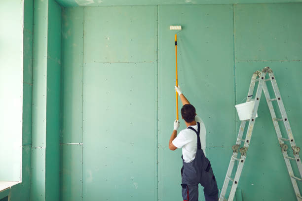 Best Mold Odor Removal Services  in Mount Rainier, MD