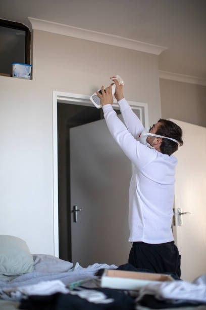 Environmental Consulting for Mold Prevention in Mount Rainier, MD