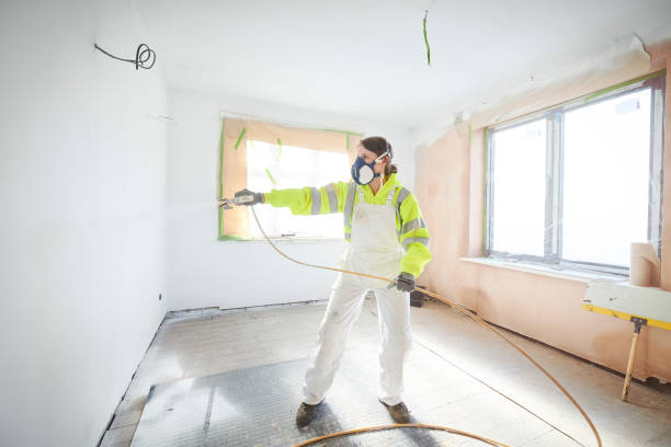 Best Attic Mold Removal  in Mount Rainier, MD