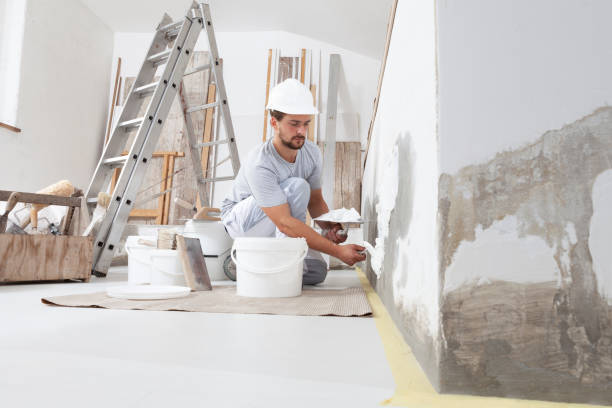 Best Air Quality Testing for Mold Spores  in Mount Rainier, MD