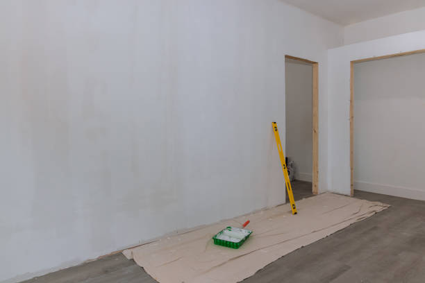 Best Environmental Consulting for Mold Prevention  in Mount Rainier, MD