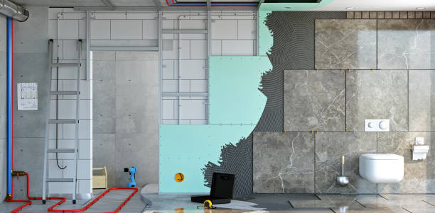 Best Basement Mold Removal  in Mount Rainier, MD