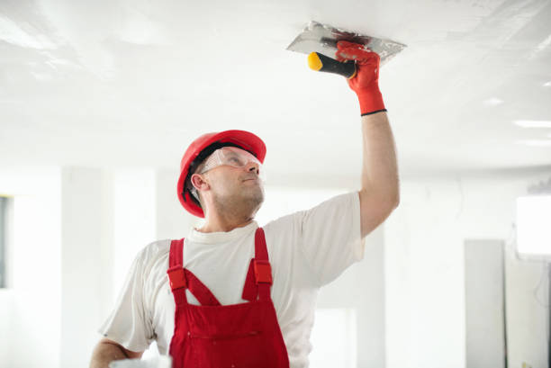 Best Biohazard Mold Removal  in Mount Rainier, MD