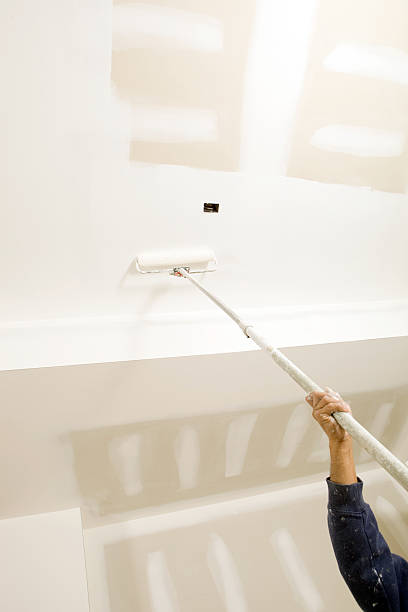Professional Mold Removal in Mount Rainier, MD