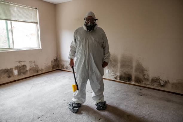 Best Real Estate Mold Inspection  in Mount Rainier, MD