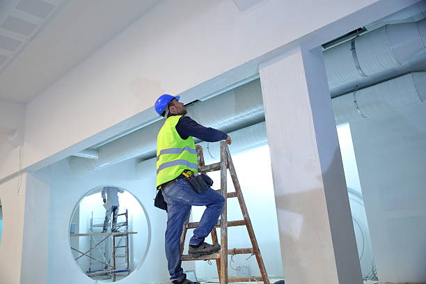 Best Mold Damage Restoration  in Mount Rainier, MD