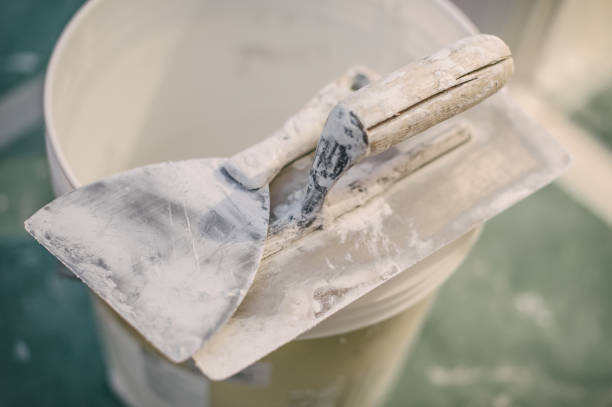 Best Dehumidification Services  in Mount Rainier, MD
