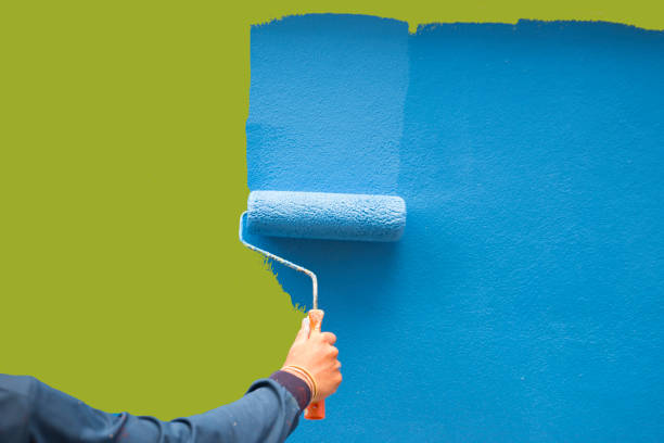 Best Commercial Mold Inspection  in Mount Rainier, MD
